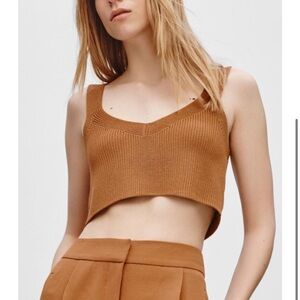 Wilfred Mony Knit Brown Crop Top